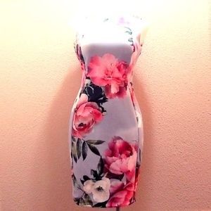 Calvin Klein Floral Sleeveless Sz 10 Scuba Dress